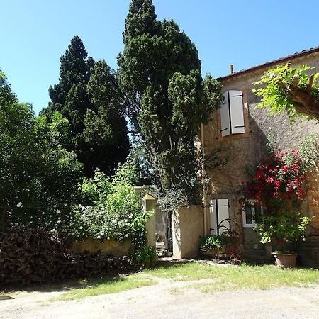 Sigean - Maison Domaine Viticole, 6 Km De La Mer Экстерьер фото