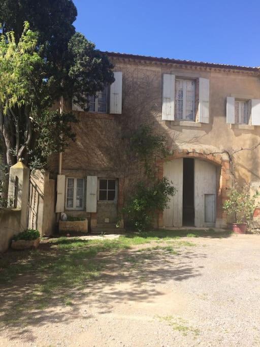 Sigean - Maison Domaine Viticole, 6 Km De La Mer Экстерьер фото