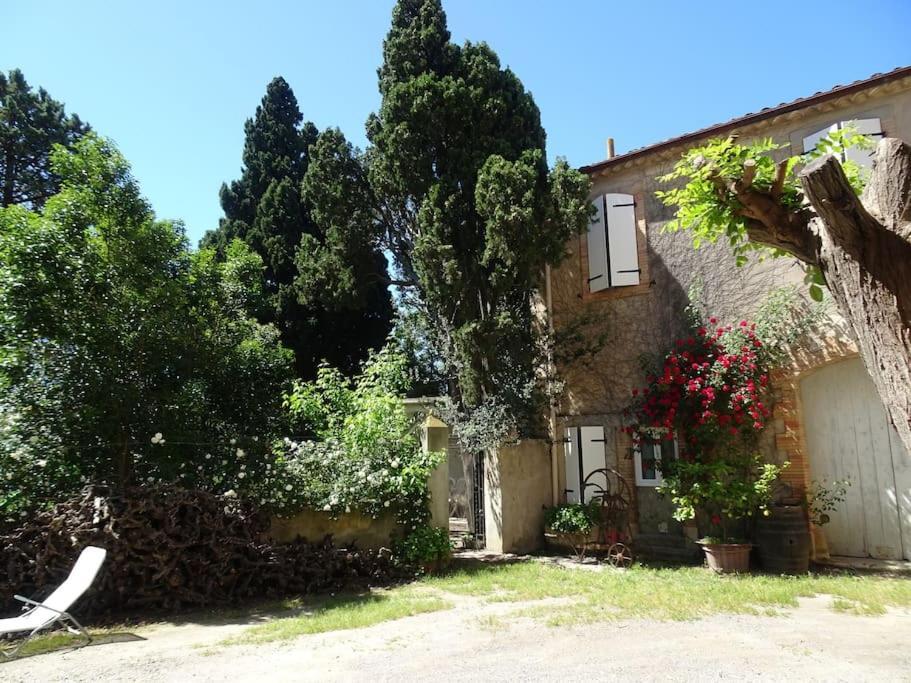 Sigean - Maison Domaine Viticole, 6 Km De La Mer Экстерьер фото